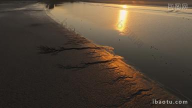 杭州钱塘江滩涂湿地候鸟白鹭夕阳